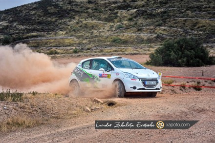 Contundente triunfo de Xevi Pons y MRF Tyres en el Rallye Isla de Los Volcanes